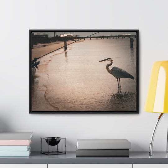 Great Blue Heron - Gallery Canvas Wraps, Horizontal Frame