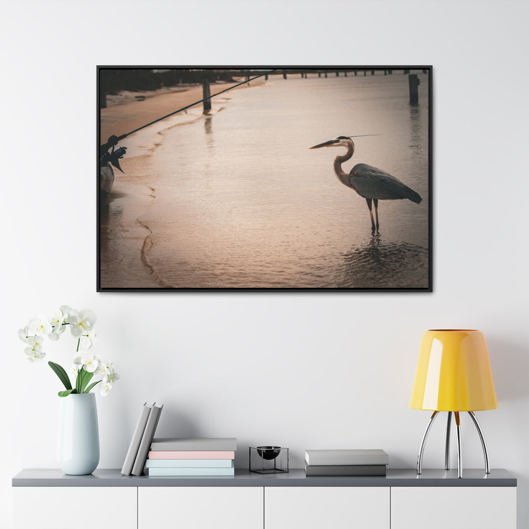 Great Blue Heron - Gallery Canvas Wraps, Horizontal Frame