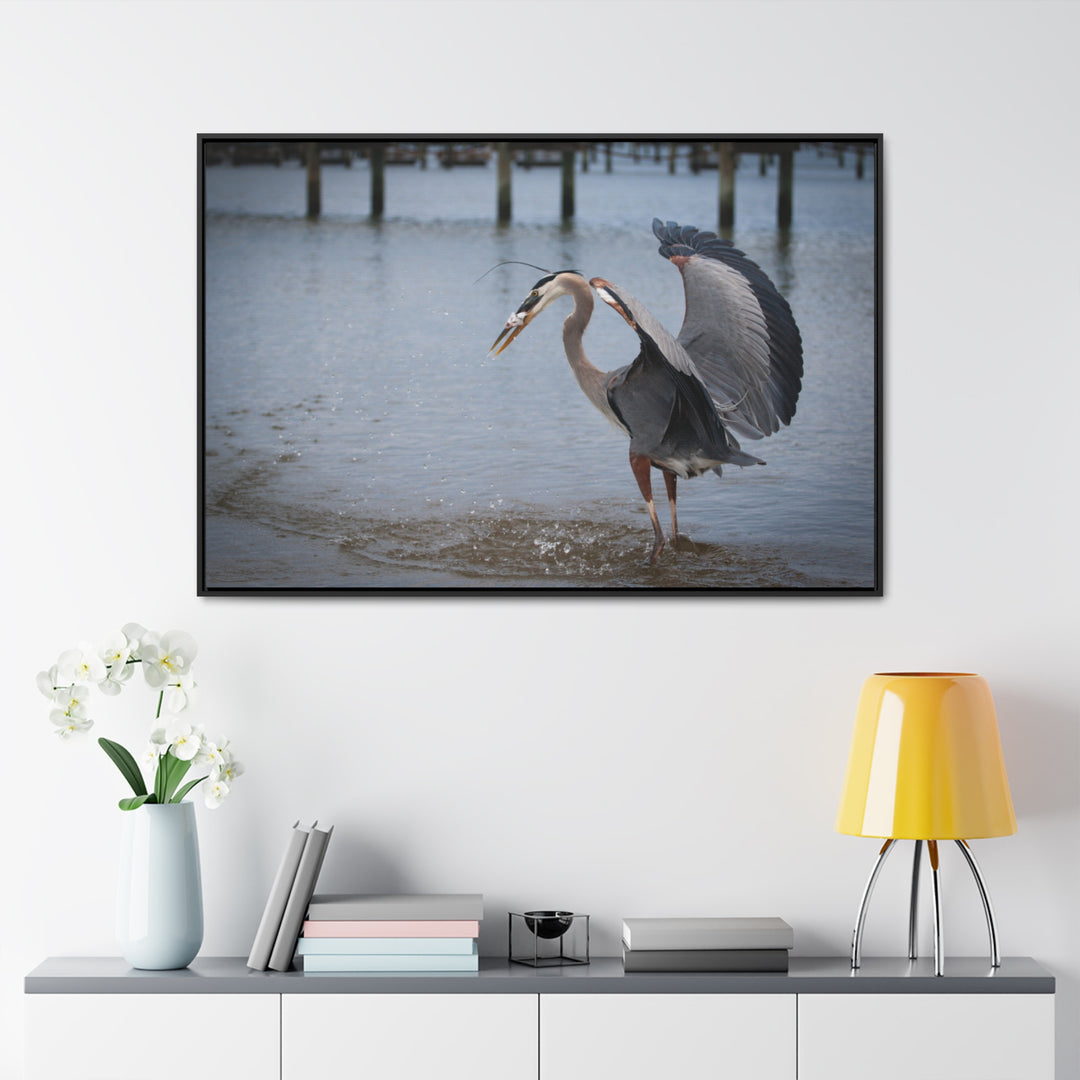 Great Blue Heron - Gallery Canvas Wraps, Horizontal Frame