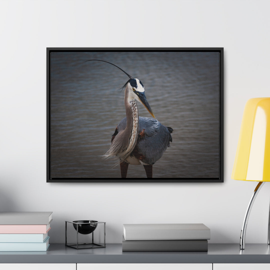 Great Blue Heron - Gallery Canvas Wraps, Horizontal Frame