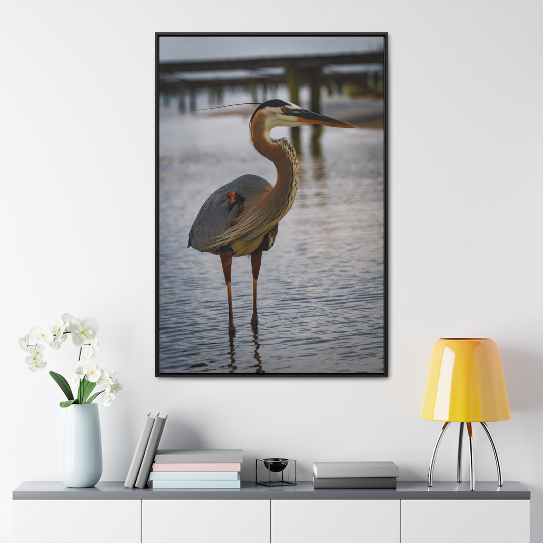 Great Blue Heron - Gallery Canvas Wraps, Vertical Frame