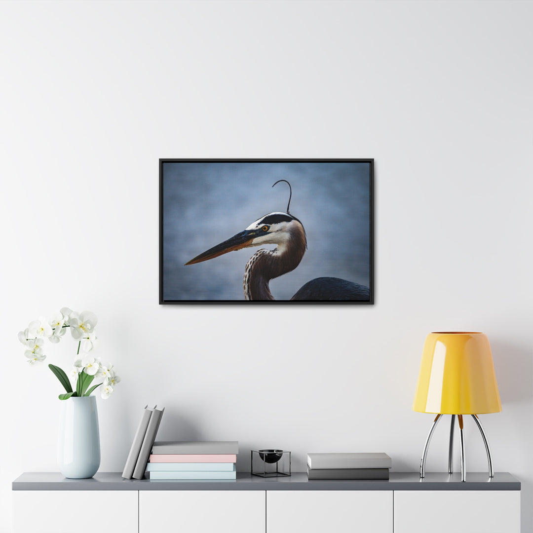 Great Blue Heron - Gallery Canvas Wraps, Horizontal Frame