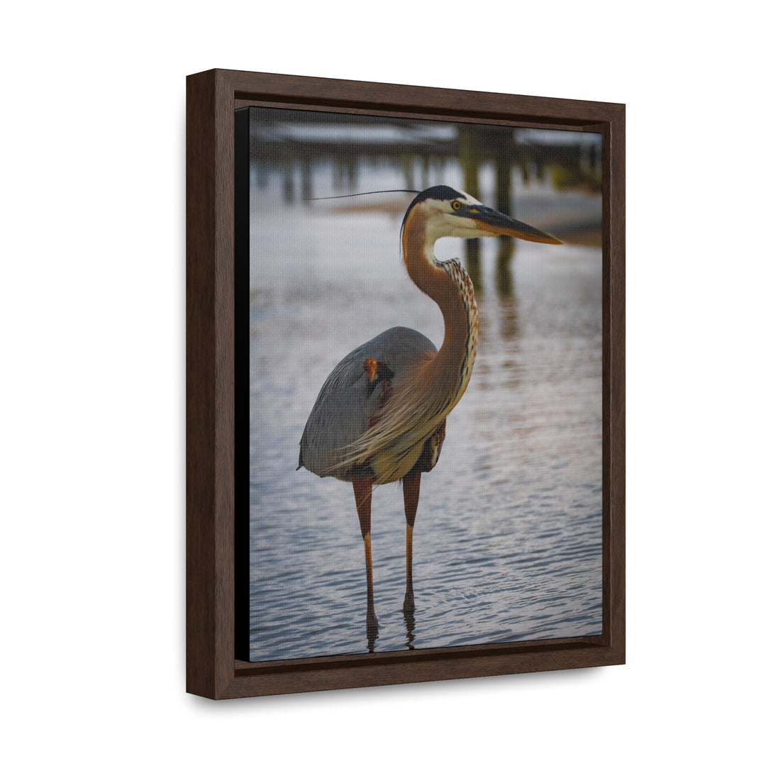 Great Blue Heron - Gallery Canvas Wraps, Vertical Frame