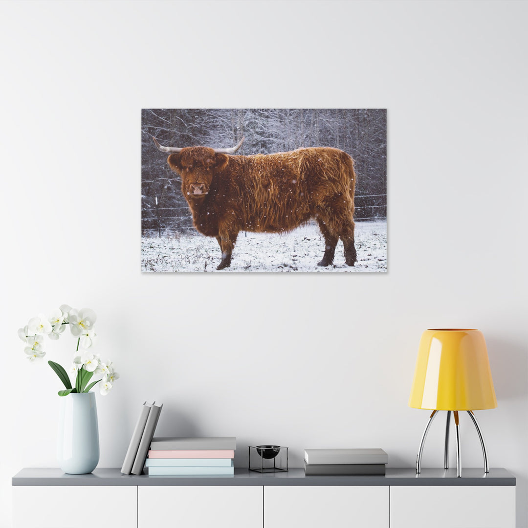 The Ruby Collection - Highland on Classic Stretched Canvas