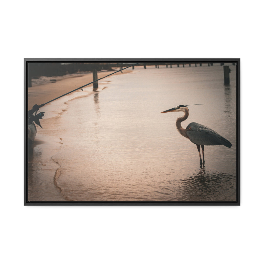 Great Blue Heron - Gallery Canvas Wraps, Horizontal Frame