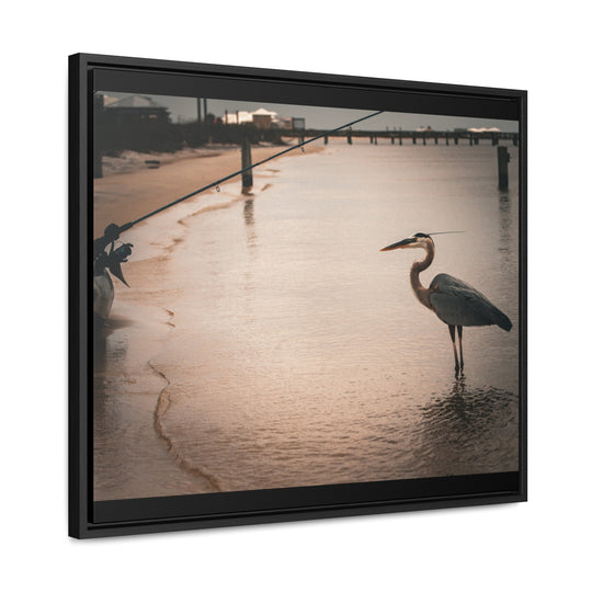 Great Blue Heron - Gallery Canvas Wraps, Horizontal Frame