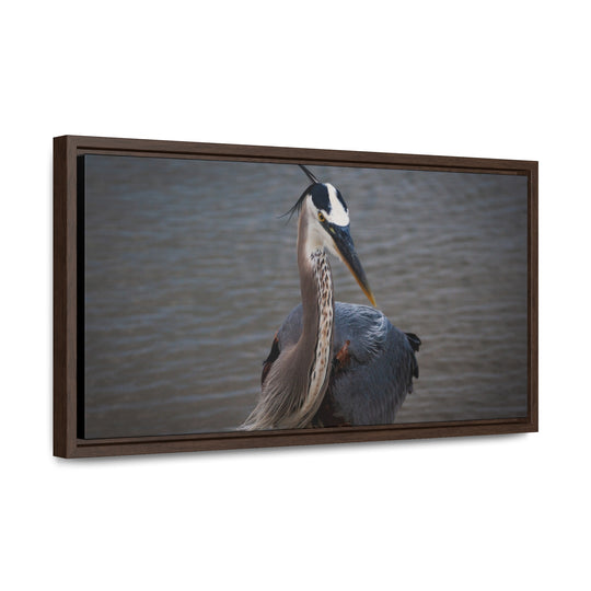 Great Blue Heron - Gallery Canvas Wraps, Horizontal Frame