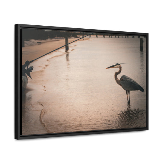 Great Blue Heron - Gallery Canvas Wraps, Horizontal Frame