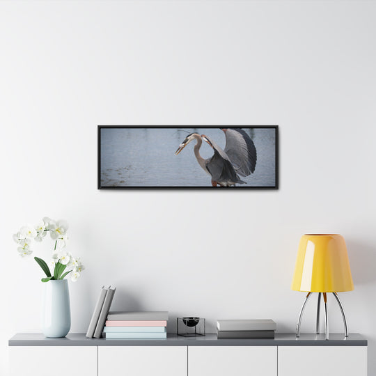 Great Blue Heron - Gallery Canvas Wraps, Horizontal Frame