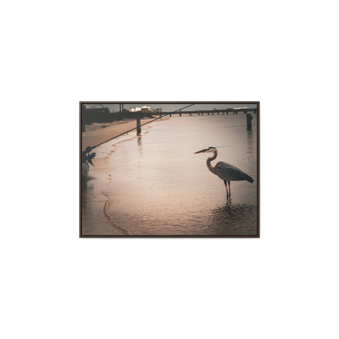 Great Blue Heron - Gallery Canvas Wraps, Horizontal Frame