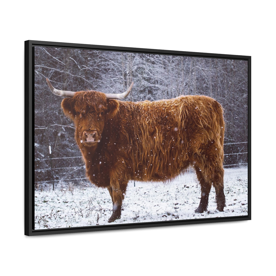 The Ruby Collection - Gallery Canvas Wraps, Horizontal Frame