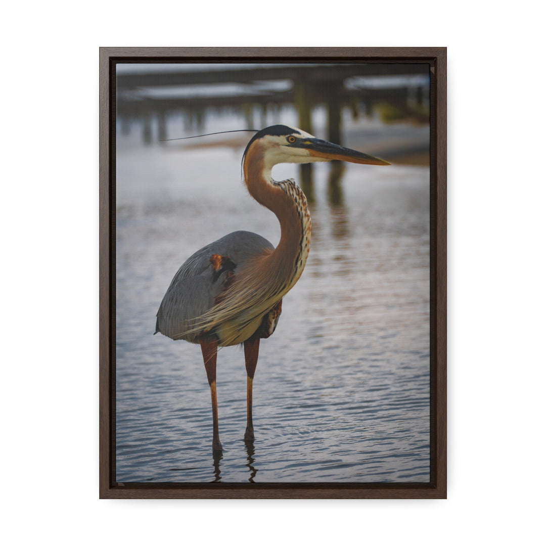 Great Blue Heron - Gallery Canvas Wraps, Vertical Frame