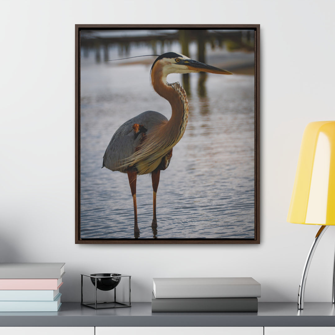 Great Blue Heron - Gallery Canvas Wraps, Vertical Frame