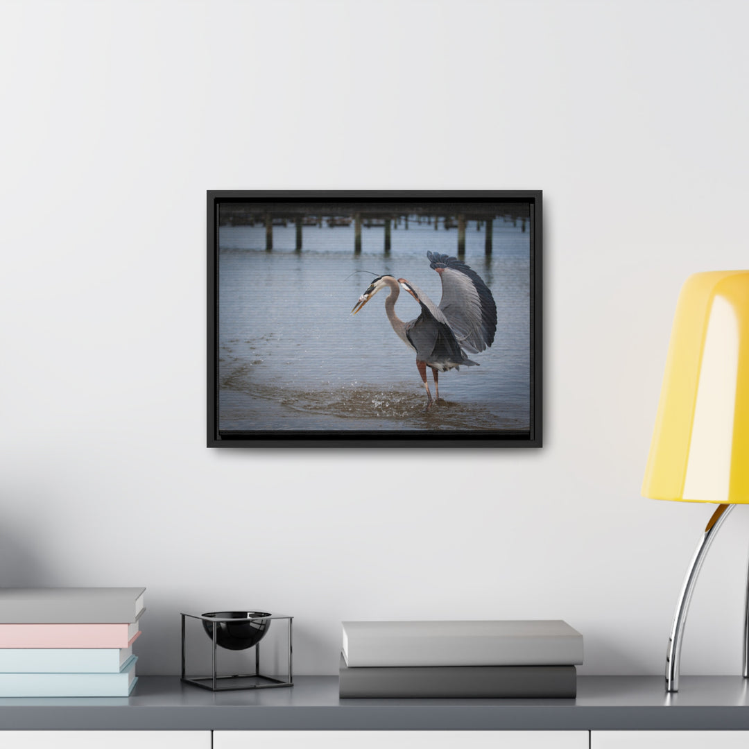 Great Blue Heron - Gallery Canvas Wraps, Horizontal Frame