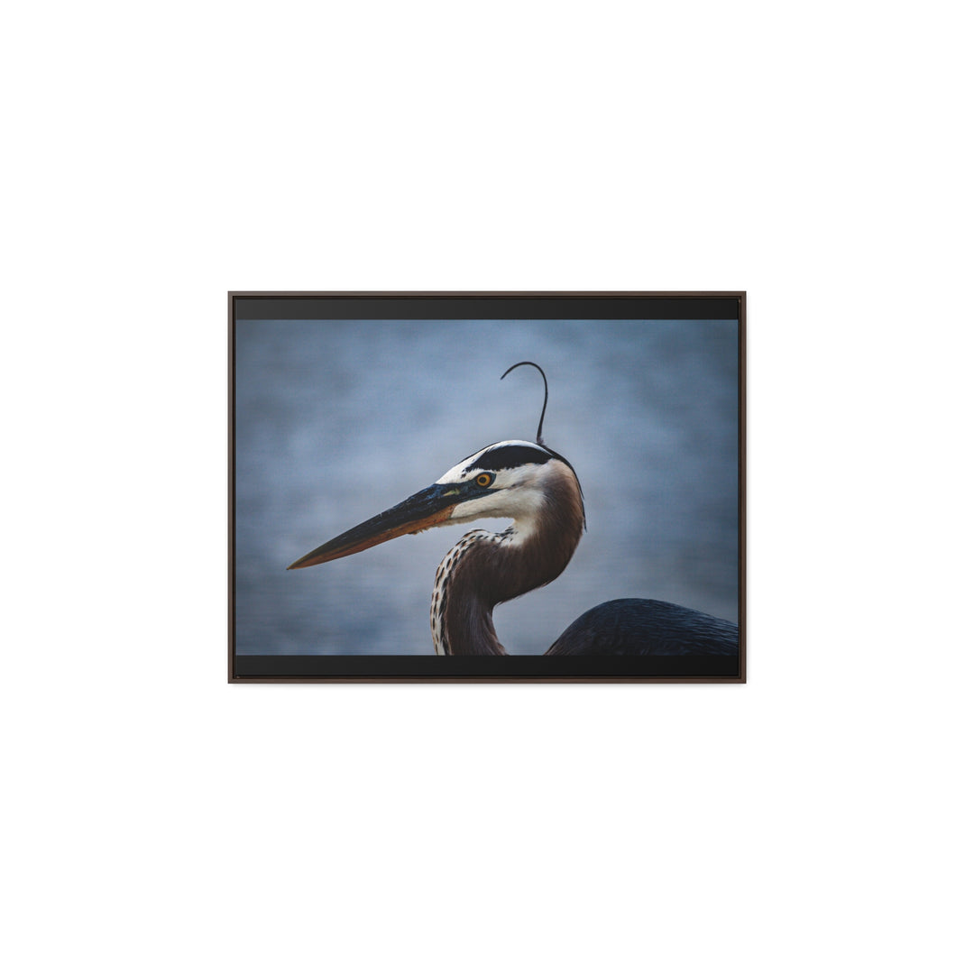 Great Blue Heron - Gallery Canvas Wraps, Horizontal Frame