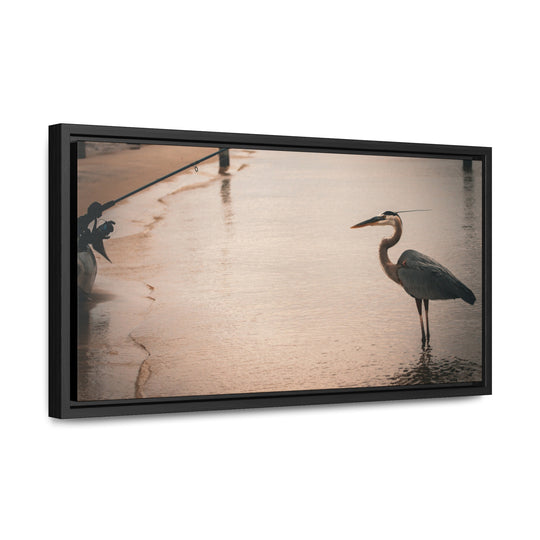 Great Blue Heron - Gallery Canvas Wraps, Horizontal Frame