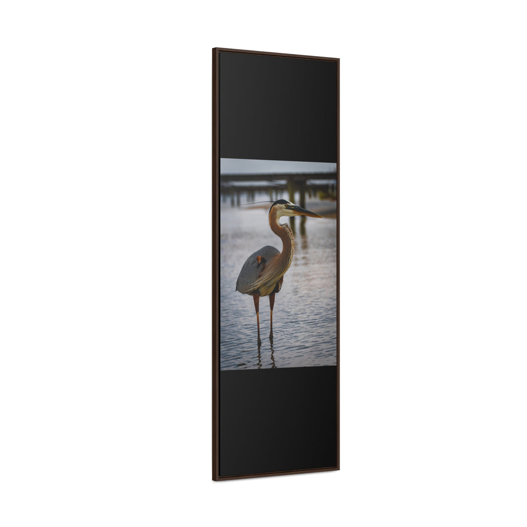 Great Blue Heron - Gallery Canvas Wraps, Vertical Frame