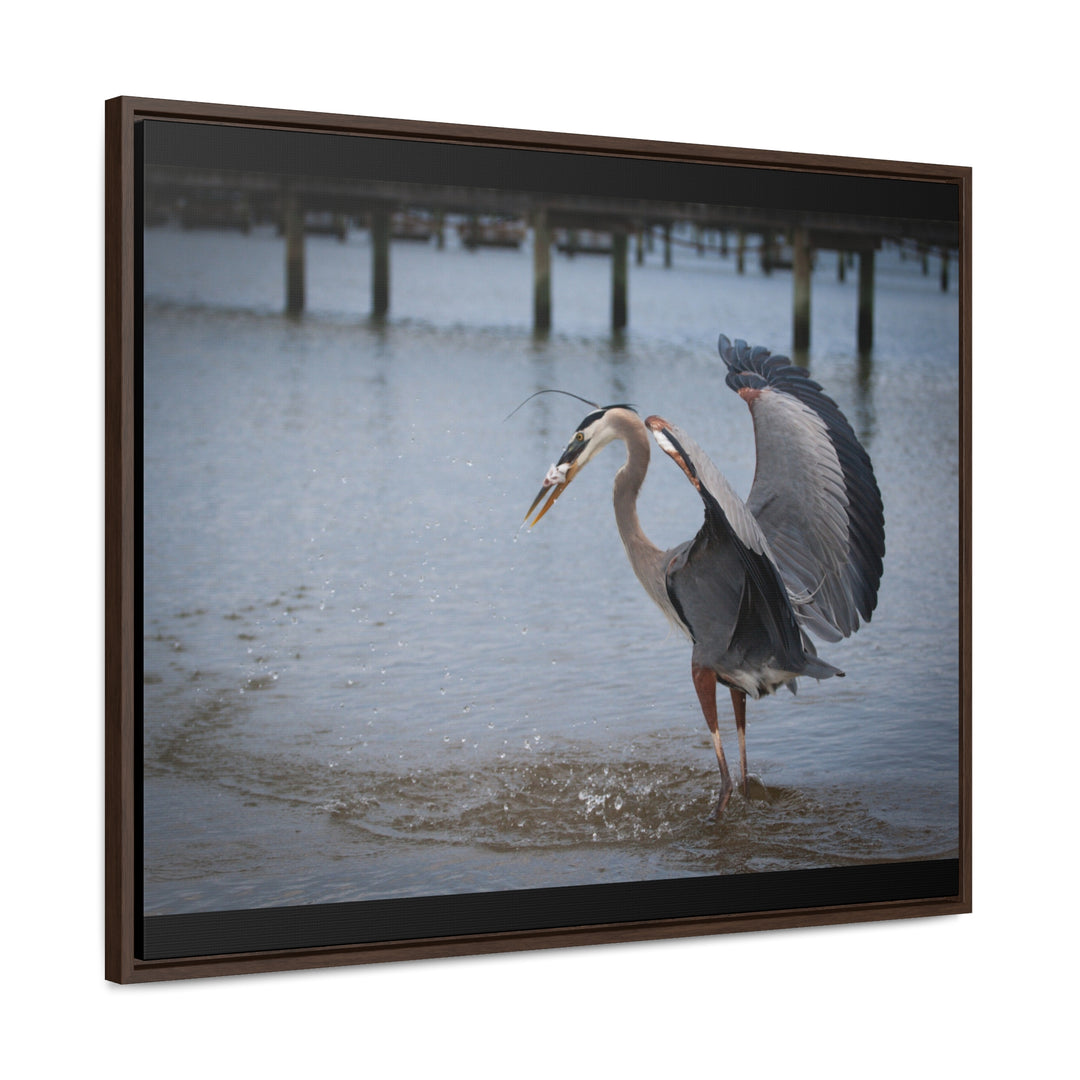 Great Blue Heron - Gallery Canvas Wraps, Horizontal Frame