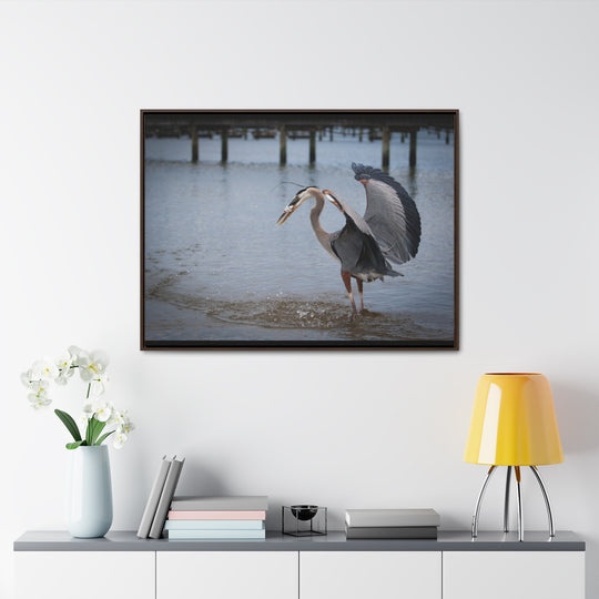 Great Blue Heron - Gallery Canvas Wraps, Horizontal Frame