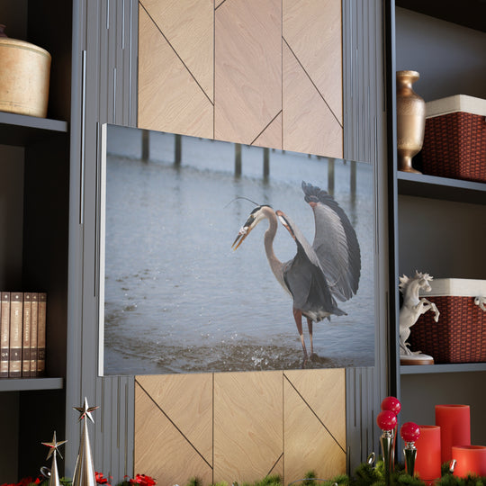 Great Blue Heron Canvas Gallery Wraps