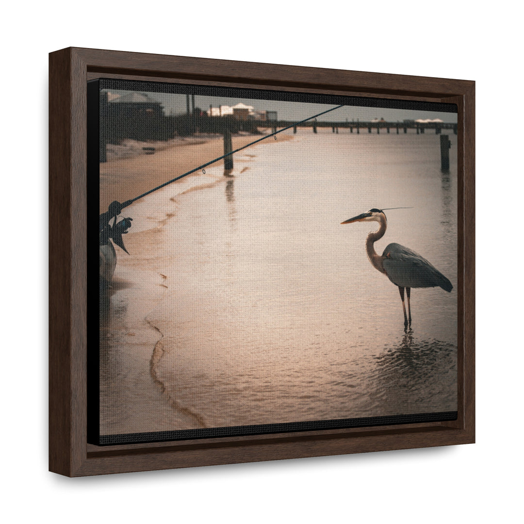 Great Blue Heron - Gallery Canvas Wraps, Horizontal Frame