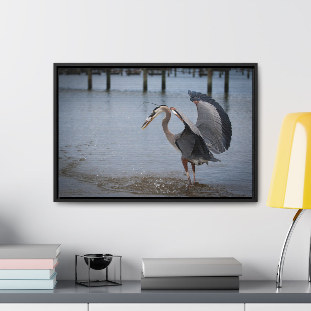 Great Blue Heron - Gallery Canvas Wraps, Horizontal Frame