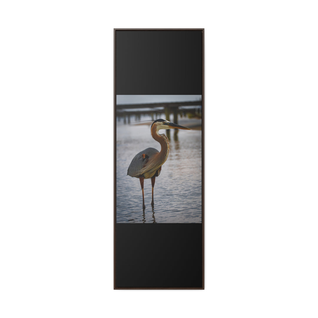 Great Blue Heron - Gallery Canvas Wraps, Vertical Frame