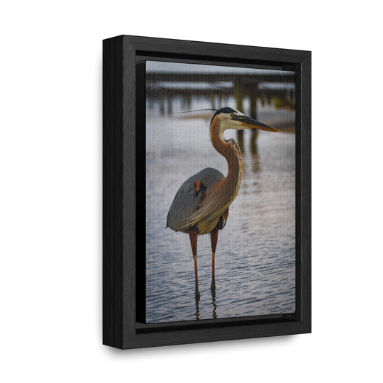 Great Blue Heron - Gallery Canvas Wraps, Vertical Frame