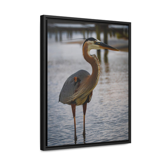 Great Blue Heron - Gallery Canvas Wraps, Vertical Frame