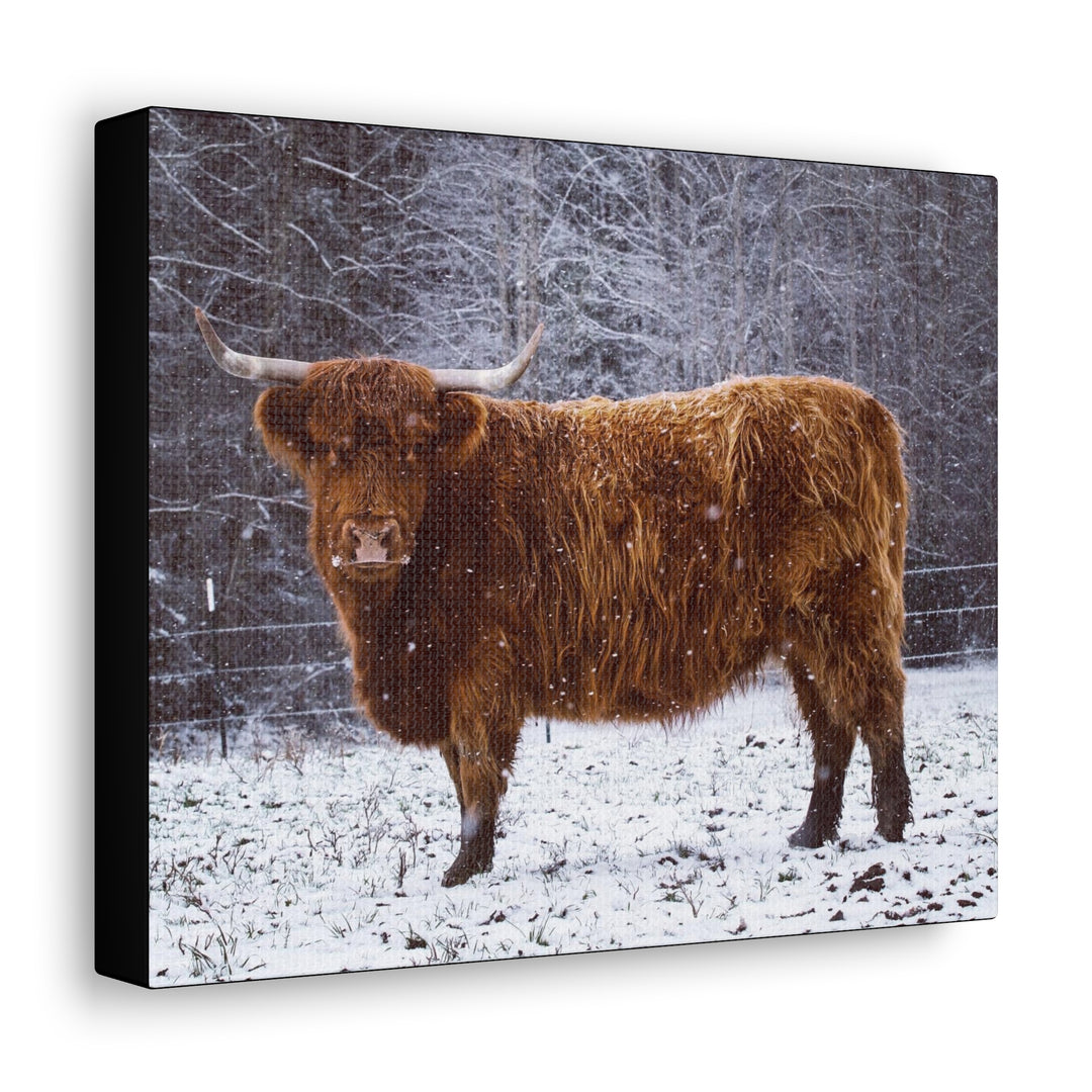 The Ruby Collection - Canvas Gallery Wraps