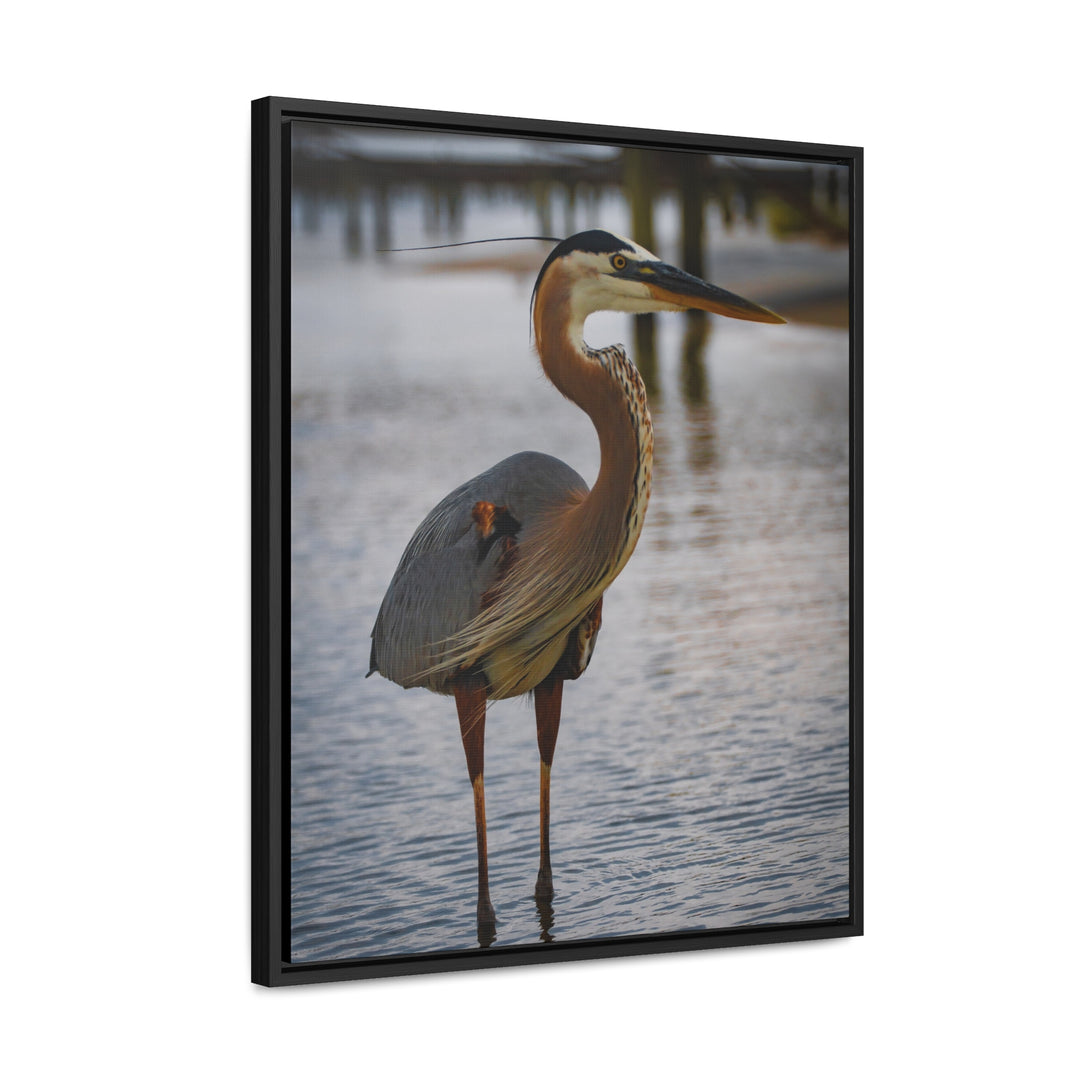 Great Blue Heron - Gallery Canvas Wraps, Vertical Frame