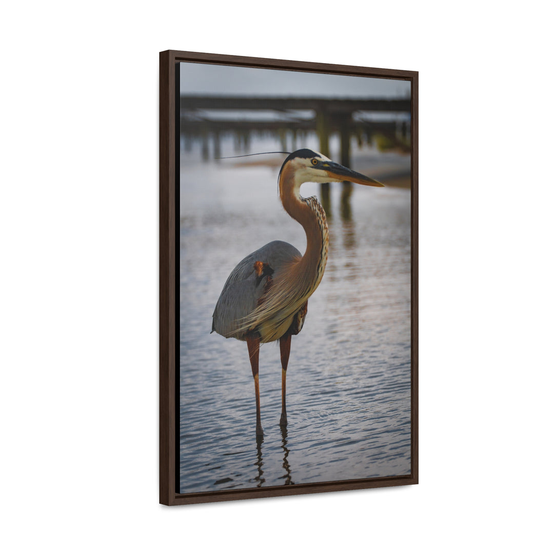 Great Blue Heron - Gallery Canvas Wraps, Vertical Frame