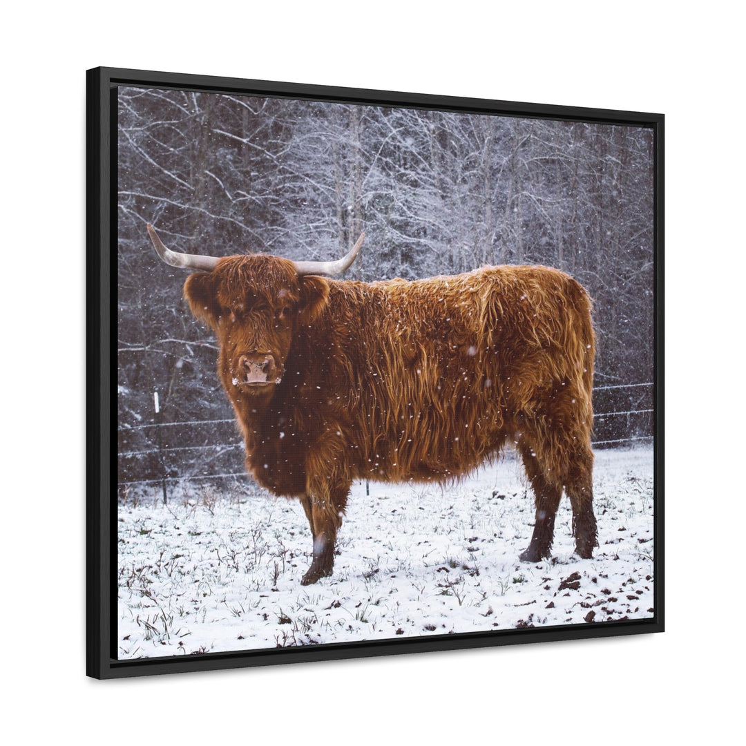 The Ruby Collection - Gallery Canvas Wraps, Horizontal Frame