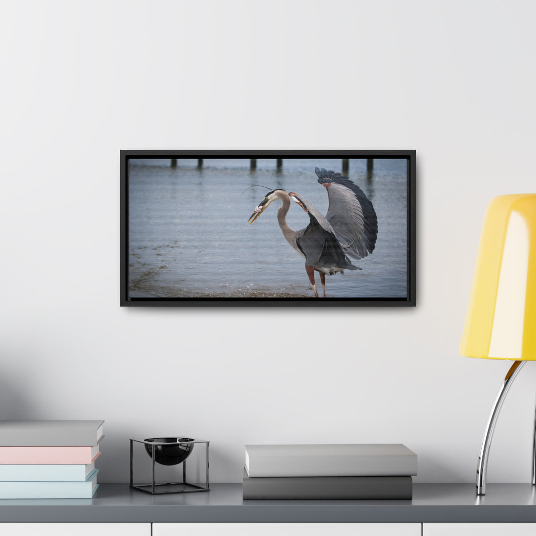 Great Blue Heron - Gallery Canvas Wraps, Horizontal Frame