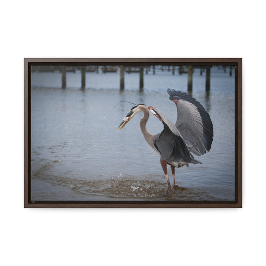 Great Blue Heron - Gallery Canvas Wraps, Horizontal Frame