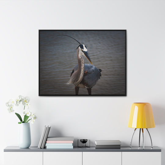 Great Blue Heron - Gallery Canvas Wraps, Horizontal Frame