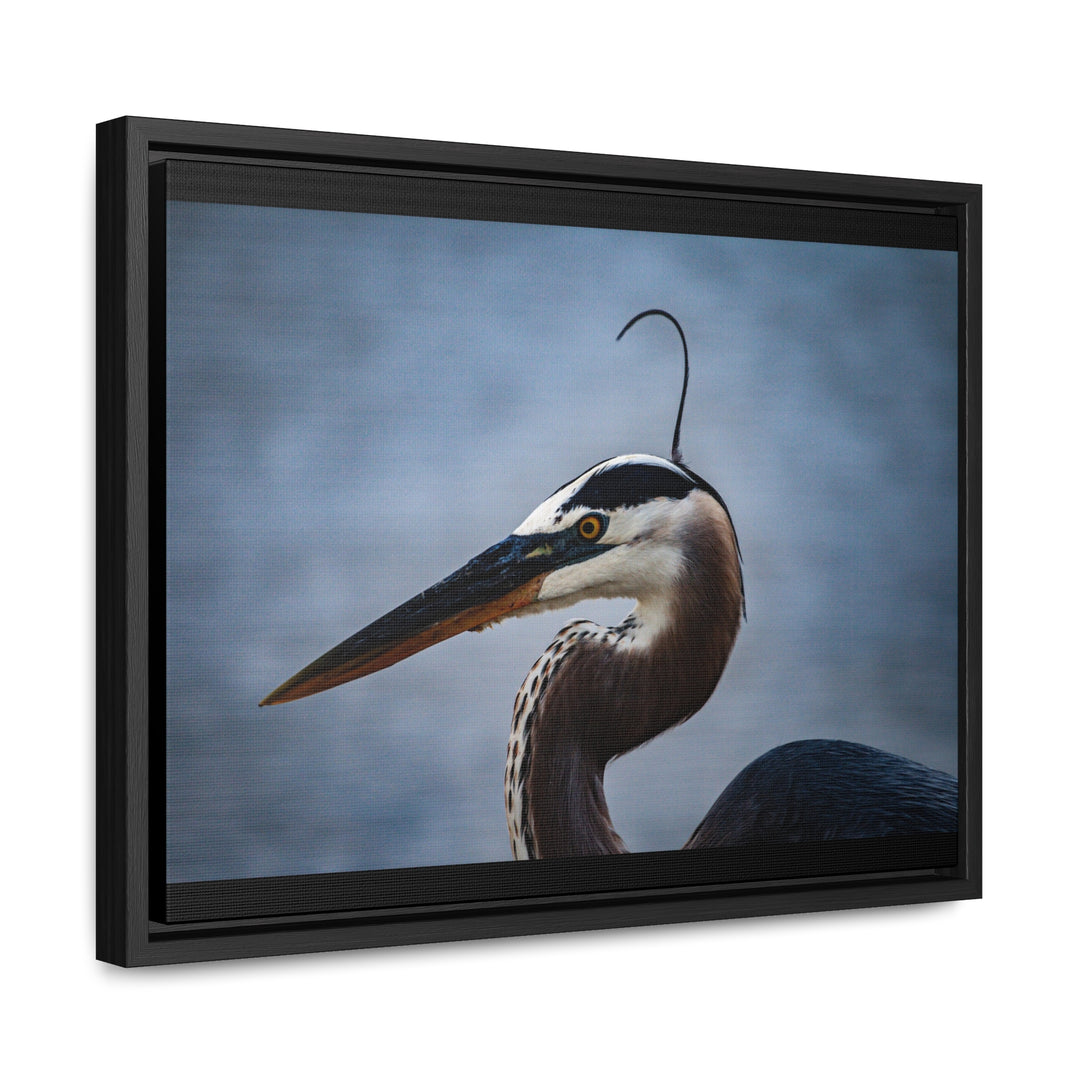 Great Blue Heron - Gallery Canvas Wraps, Horizontal Frame