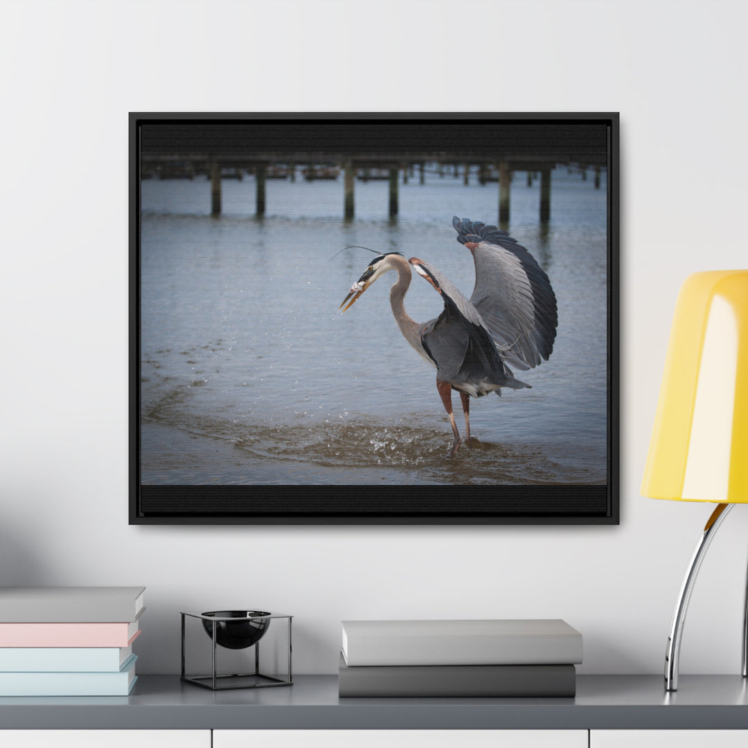 Great Blue Heron - Gallery Canvas Wraps, Horizontal Frame