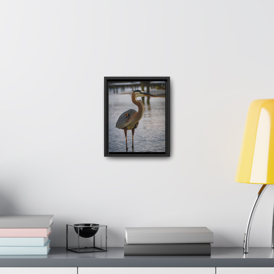 Great Blue Heron - Gallery Canvas Wraps, Vertical Frame