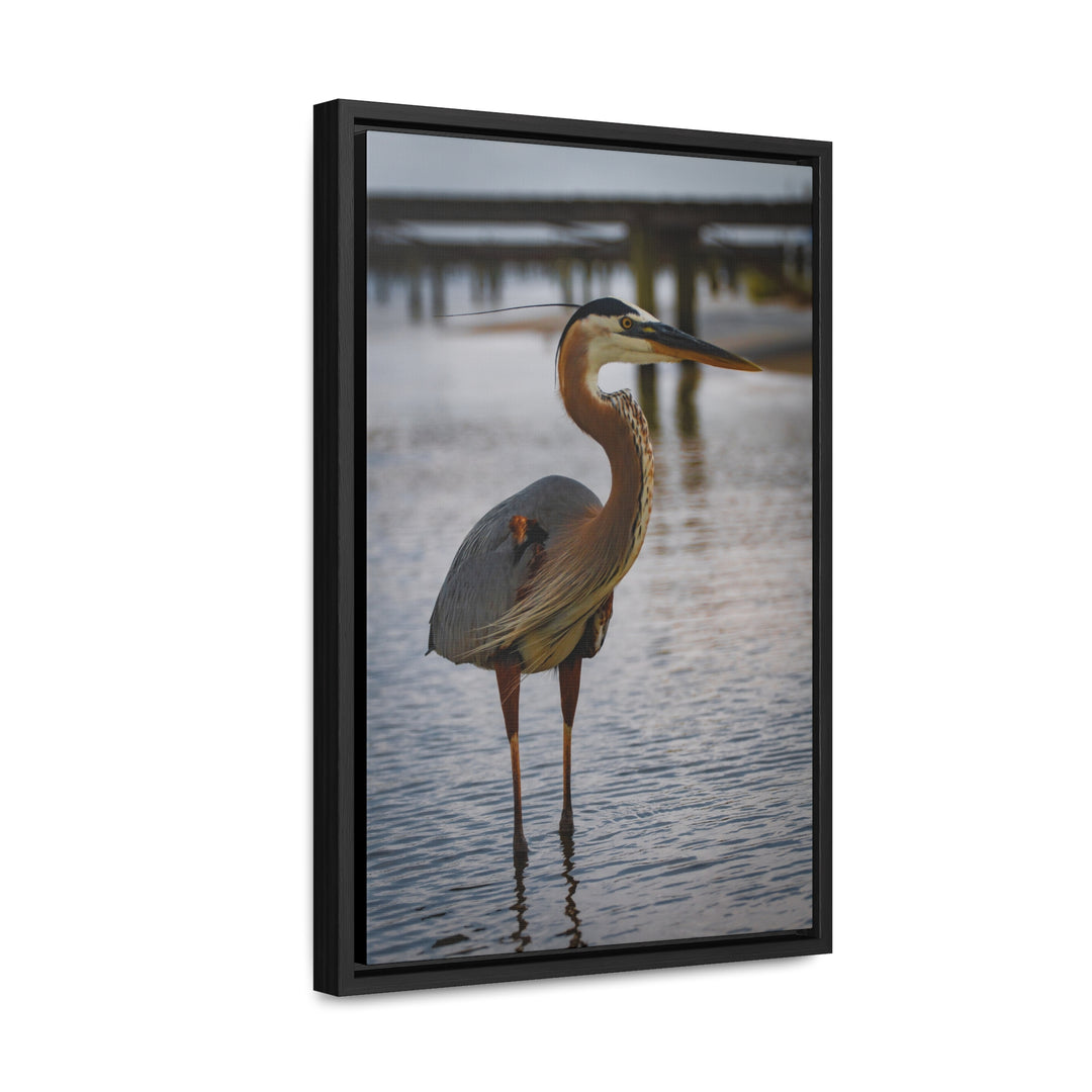 Great Blue Heron - Gallery Canvas Wraps, Vertical Frame