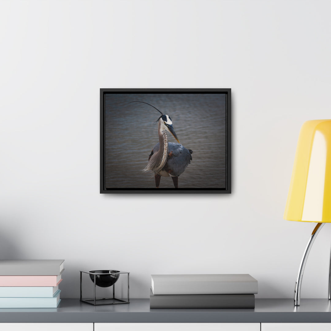 Great Blue Heron - Gallery Canvas Wraps, Horizontal Frame