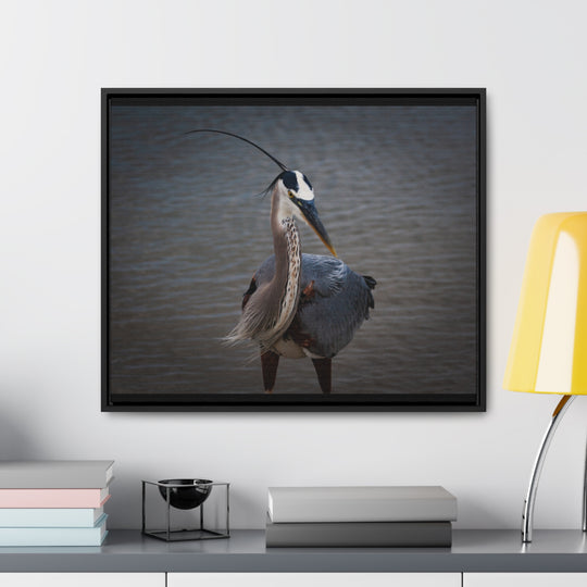 Great Blue Heron - Gallery Canvas Wraps, Horizontal Frame