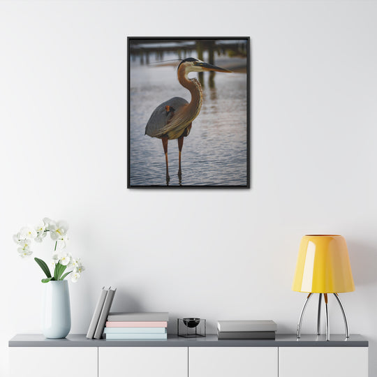 Great Blue Heron - Gallery Canvas Wraps, Vertical Frame