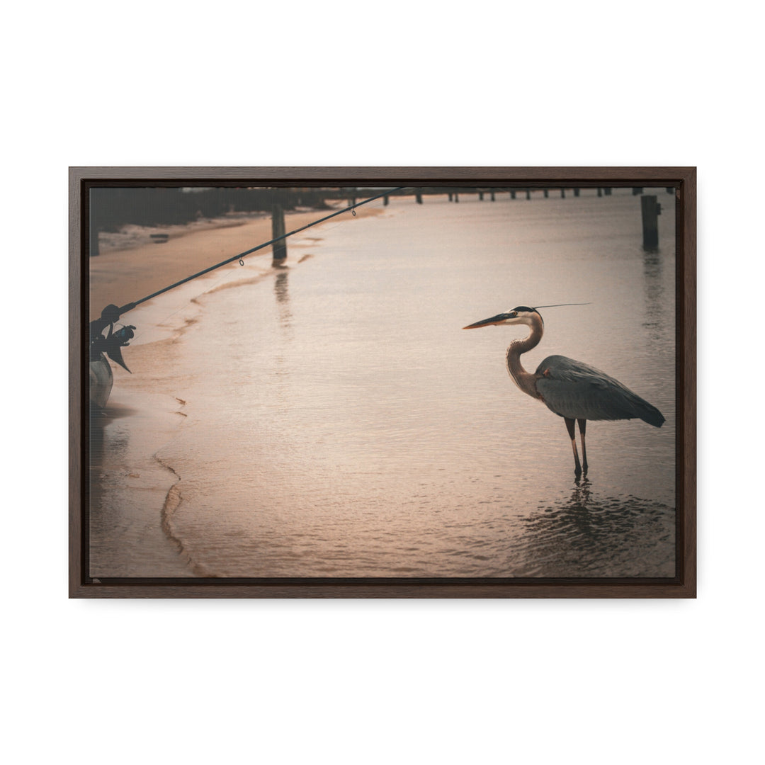 Great Blue Heron - Gallery Canvas Wraps, Horizontal Frame