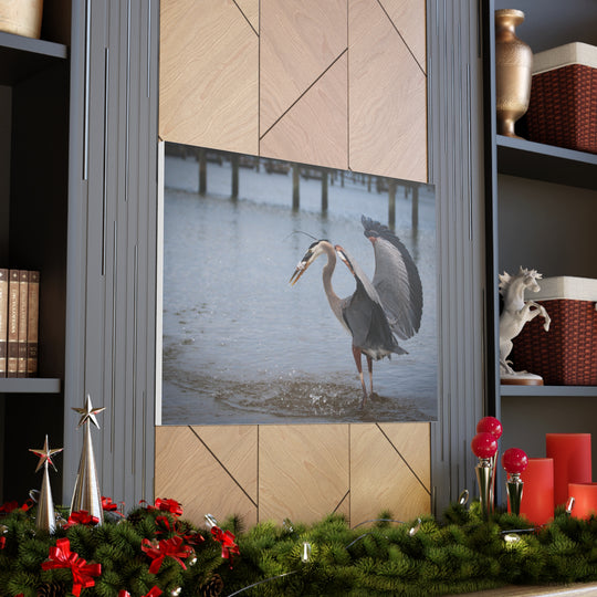 Great Blue Heron Canvas Gallery Wraps