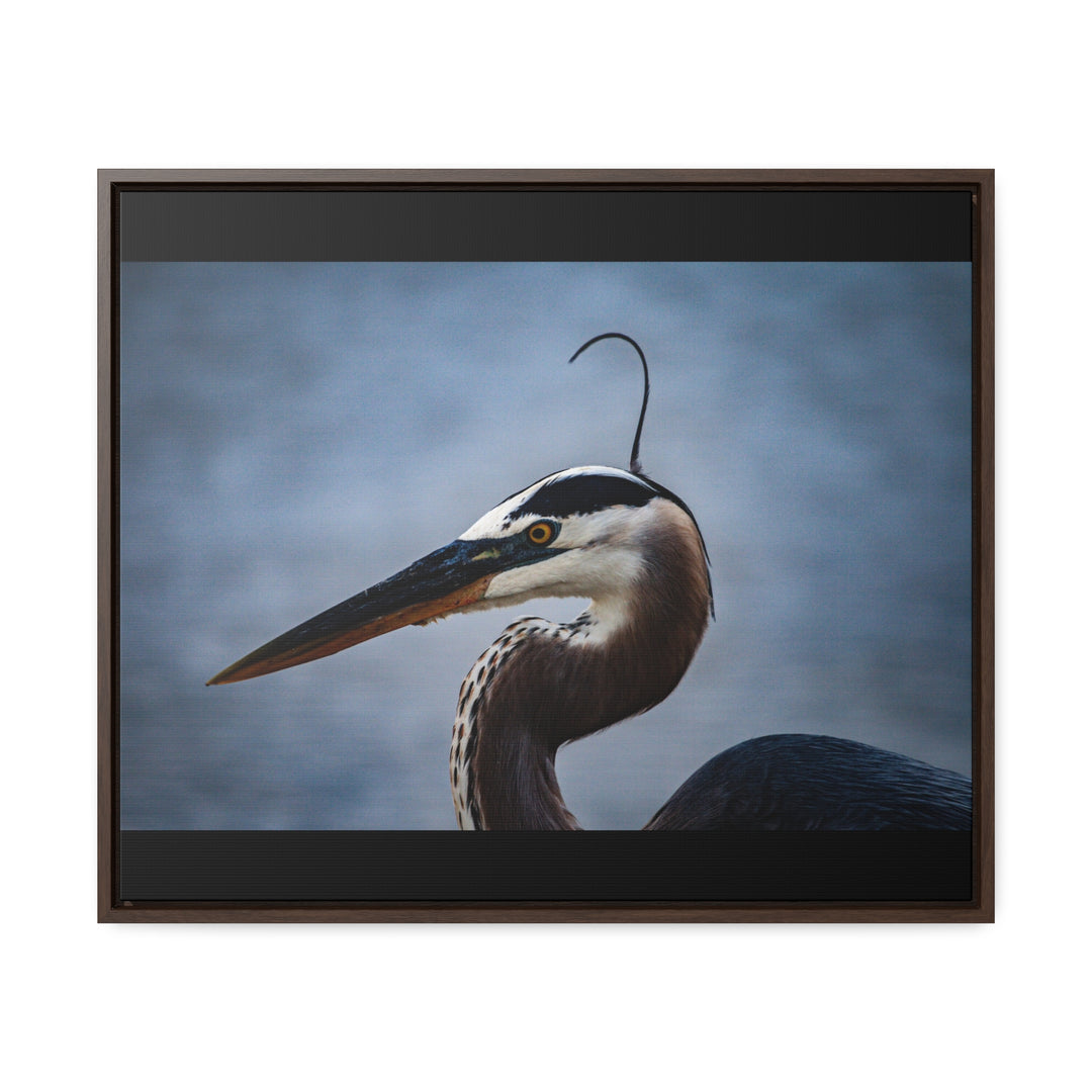 Great Blue Heron - Gallery Canvas Wraps, Horizontal Frame