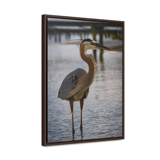 Great Blue Heron - Gallery Canvas Wraps, Vertical Frame