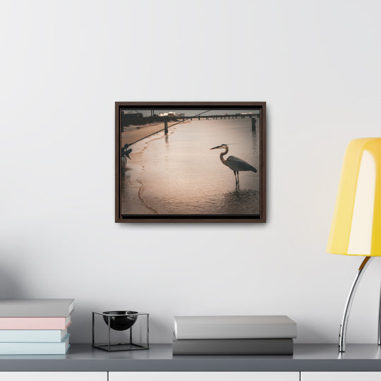 Great Blue Heron - Gallery Canvas Wraps, Horizontal Frame