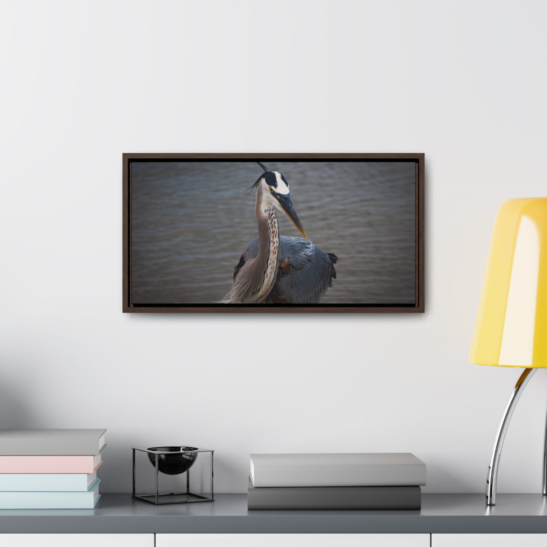 Great Blue Heron - Gallery Canvas Wraps, Horizontal Frame