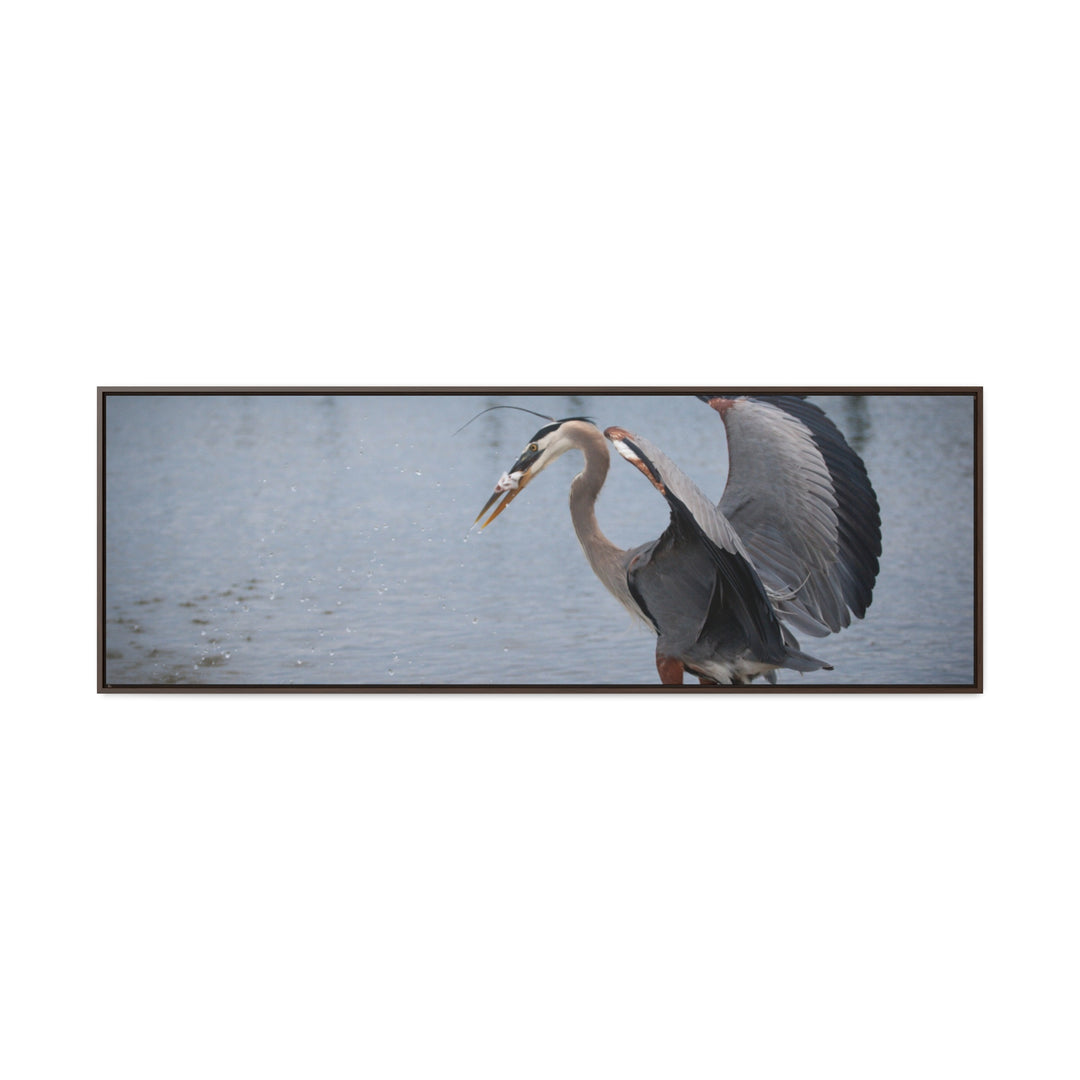 Great Blue Heron - Gallery Canvas Wraps, Horizontal Frame